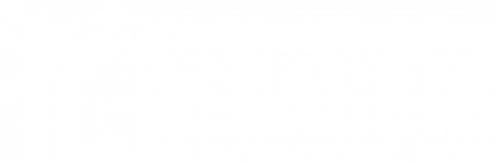 logo-desassis-new-white.png
